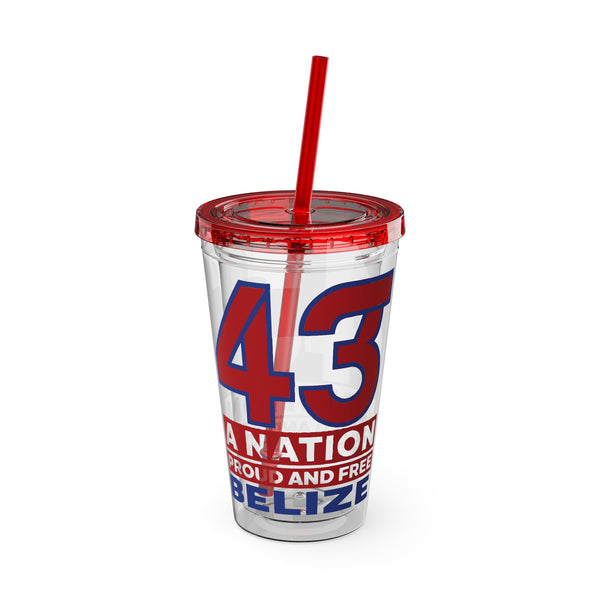 43 - Sunsplash Tumbler with Straw, 16oz