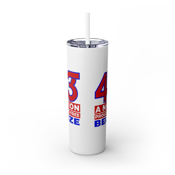 43 - Skinny Tumbler with Straw, 20oz