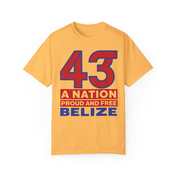 43 Official - Unisex Garment-Dyed T-shirt