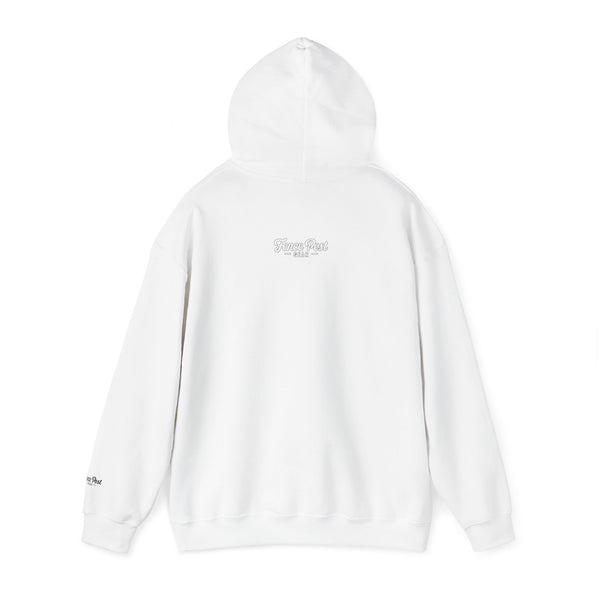 Diggin Belize - Unisex Heavy Blend™ Hoodie