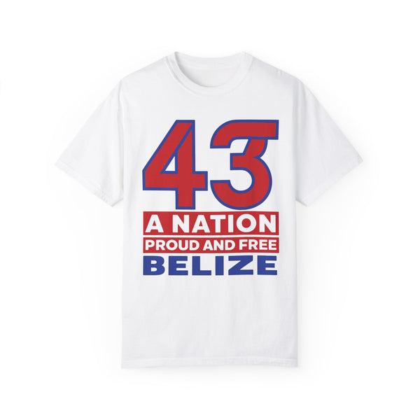 43 Official - Unisex Garment-Dyed T-shirt