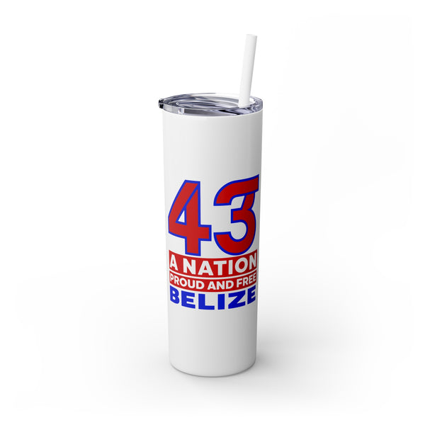 43 - Skinny Tumbler with Straw, 20oz