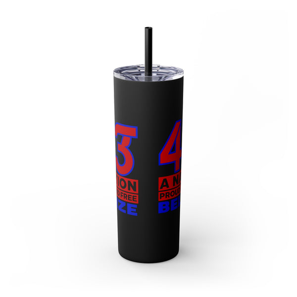 43 - Skinny Tumbler with Straw, 20oz