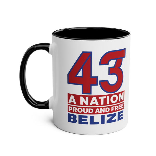 43 - Two-Tone Coffee Mugs, 11oz