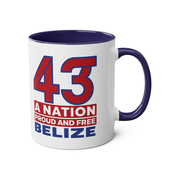 43 - Two-Tone Coffee Mugs, 11oz
