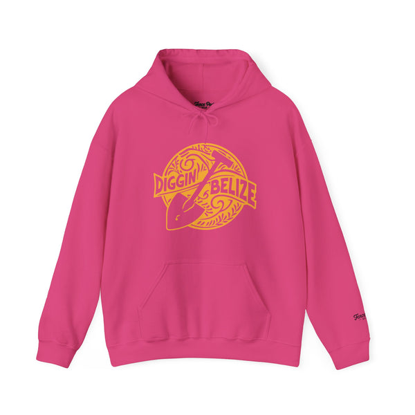 Diggin Belize - Unisex Heavy Blend™ Hoodie