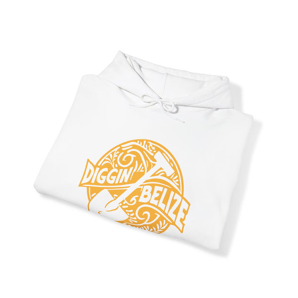 Diggin Belize - Unisex Heavy Blend™ Hoodie