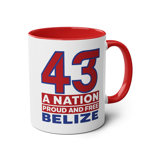 43 - Two-Tone Coffee Mugs, 11oz