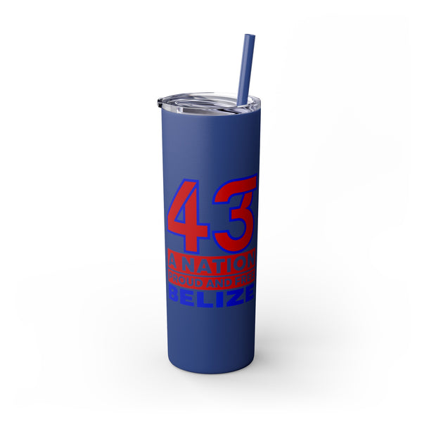 43 - Skinny Tumbler with Straw, 20oz