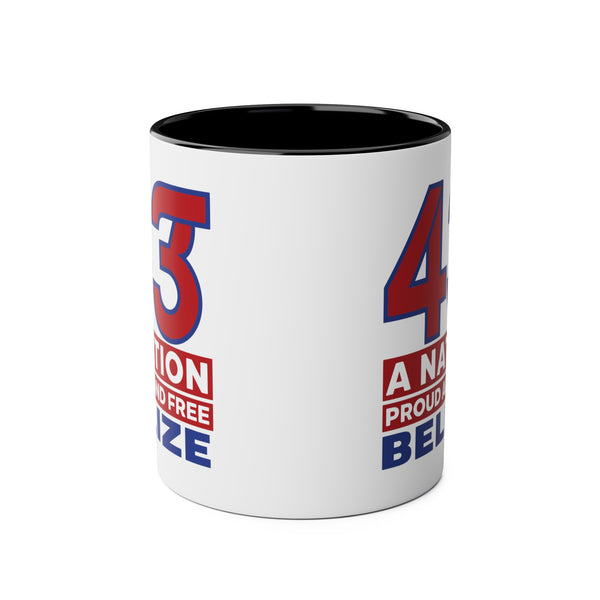 43 - Two-Tone Coffee Mugs, 11oz