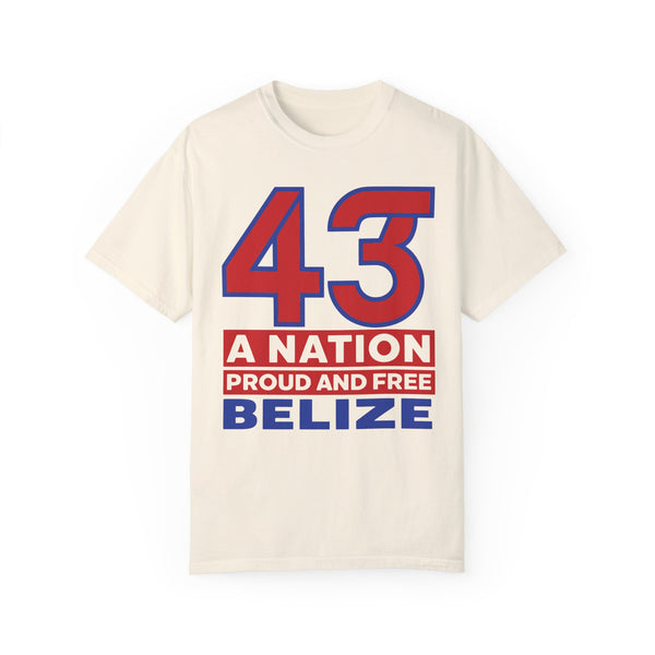 43 Official - Unisex Garment-Dyed T-shirt