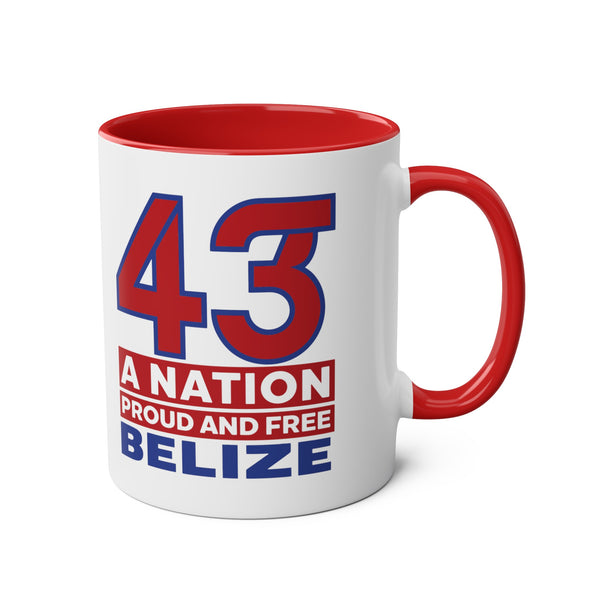 43 - Two-Tone Coffee Mugs, 11oz