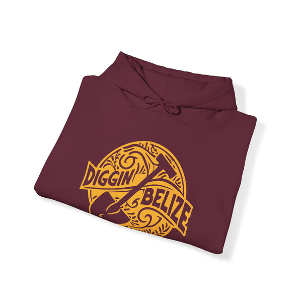 Diggin Belize - Unisex Heavy Blend™ Hoodie