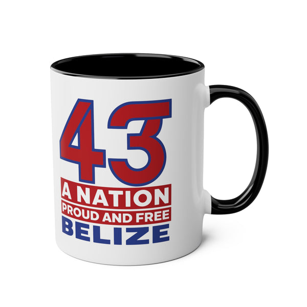 43 - Two-Tone Coffee Mugs, 11oz