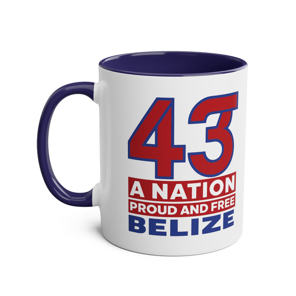 43 - Two-Tone Coffee Mugs, 11oz