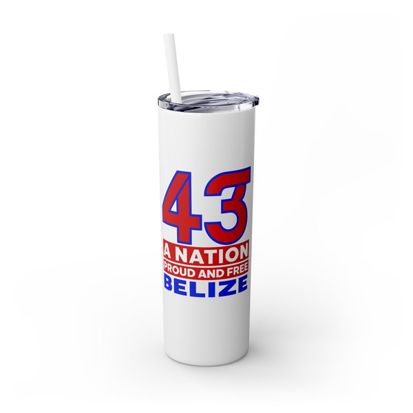 43 - Skinny Tumbler with Straw, 20oz