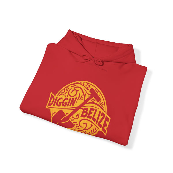 Diggin Belize - Unisex Heavy Blend™ Hoodie