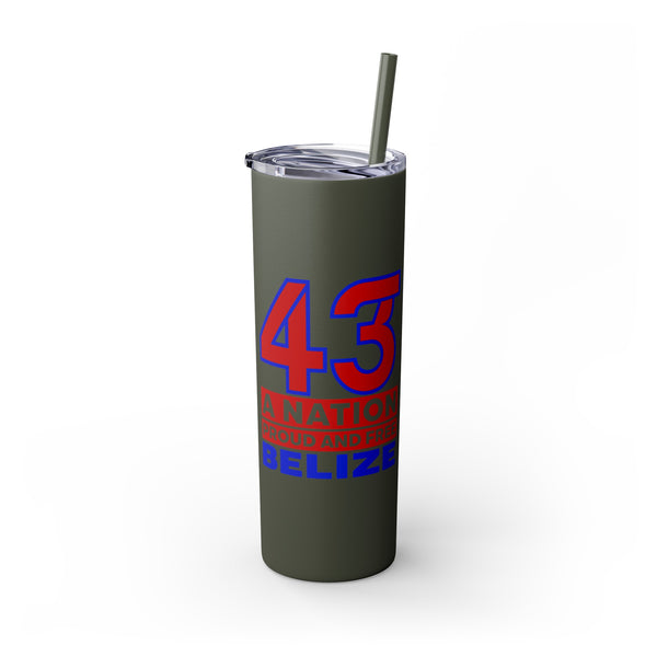 43 - Skinny Tumbler with Straw, 20oz