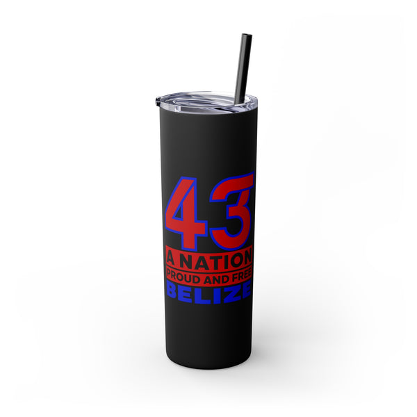 43 - Skinny Tumbler with Straw, 20oz