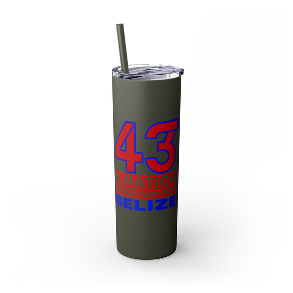 43 - Skinny Tumbler with Straw, 20oz