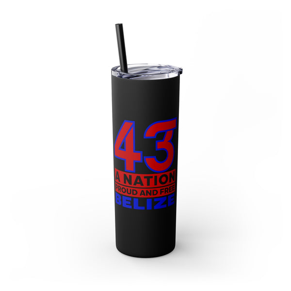 43 - Skinny Tumbler with Straw, 20oz