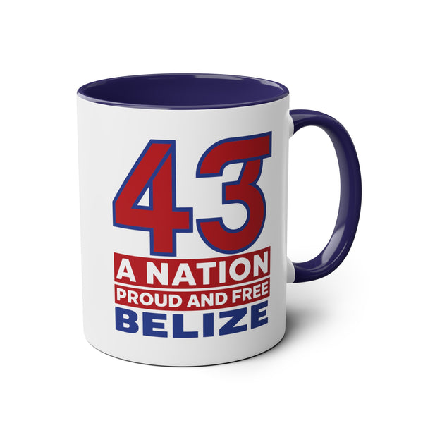 43 - Two-Tone Coffee Mugs, 11oz