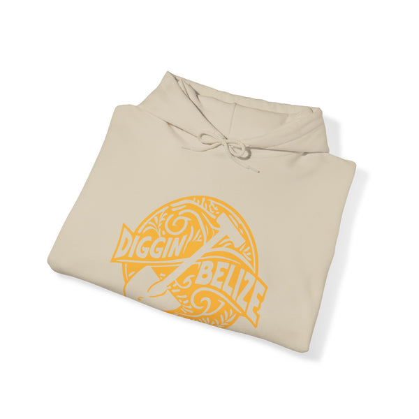Diggin Belize - Unisex Heavy Blend™ Hoodie