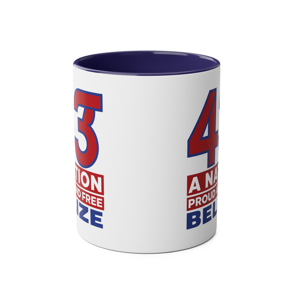 43 - Two-Tone Coffee Mugs, 11oz