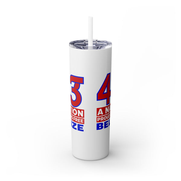 43 - Skinny Tumbler with Straw, 20oz