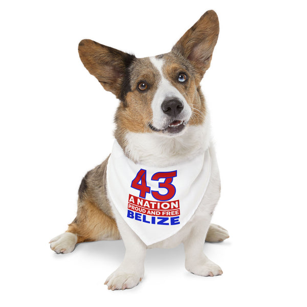 43 Proud and Free - Pet Bandana Collar