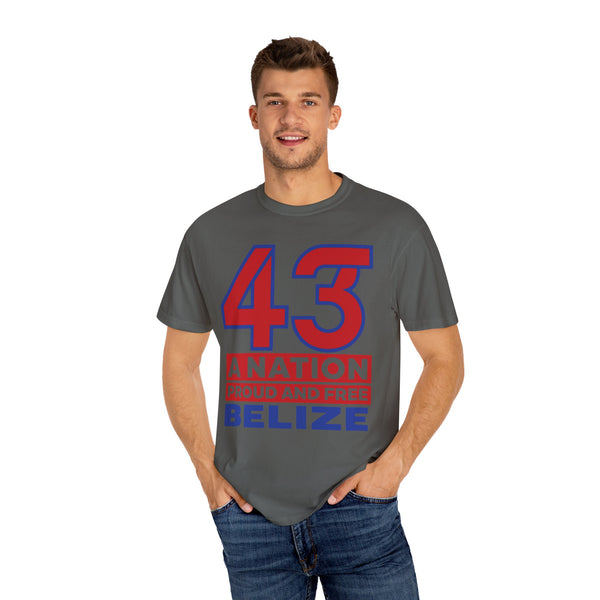43 Official - Unisex Garment-Dyed T-shirt