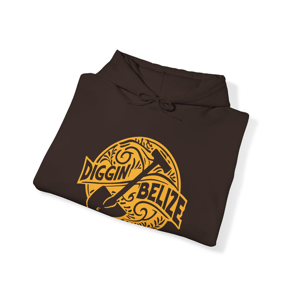 Diggin Belize - Unisex Heavy Blend™ Hoodie