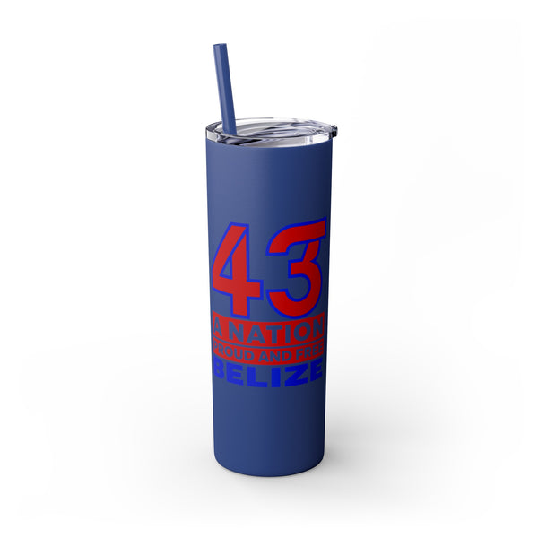43 - Skinny Tumbler with Straw, 20oz