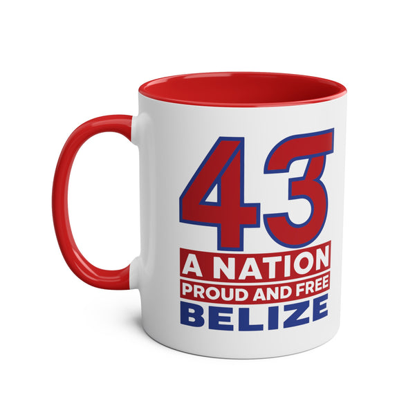 43 - Two-Tone Coffee Mugs, 11oz