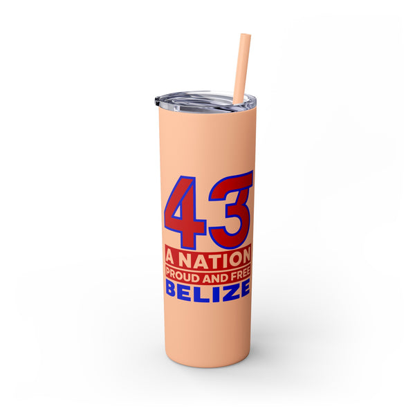 43 - Skinny Tumbler with Straw, 20oz