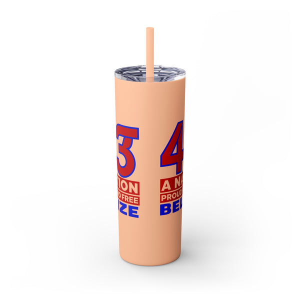 43 - Skinny Tumbler with Straw, 20oz