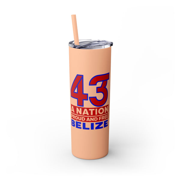 43 - Skinny Tumbler with Straw, 20oz