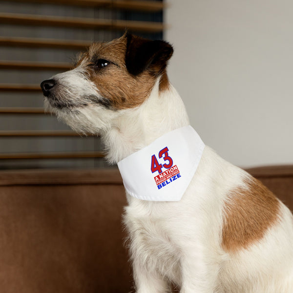 43 Proud and Free - Pet Bandana Collar