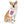 43 Proud and Free - Pet Bandana Collar